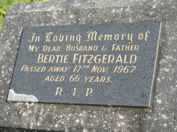 Bertie FITZGERALD,  | husband father,  | died 17 Nov 1967 aged 66 years;  | Murwillumbah Catholic Cemetery, New South Wales  | 