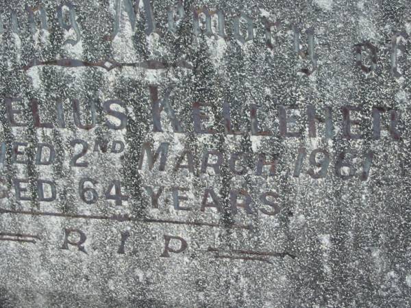 Cornelius KELLEHER,  | died 2 March 1961 aged 64 years;  | Murwillumbah Catholic Cemetery, New South Wales  | 