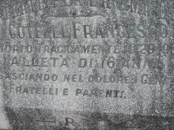 Francesco COTELLI,  | died 29-9-56 aged 16 years;  | Murwillumbah Catholic Cemetery, New South Wales  | 