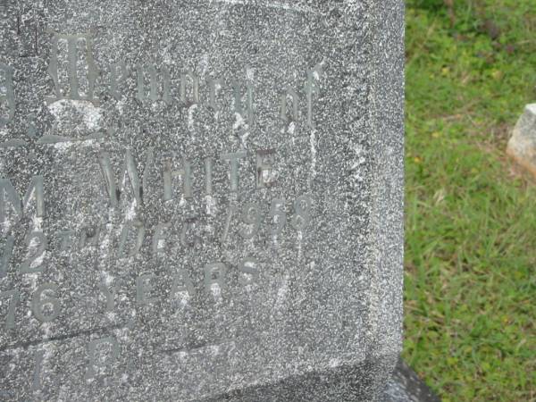 William WHITE,  | died 12 Dec 1958 aged 76 years;  | Murwillumbah Catholic Cemetery, New South Wales  | 