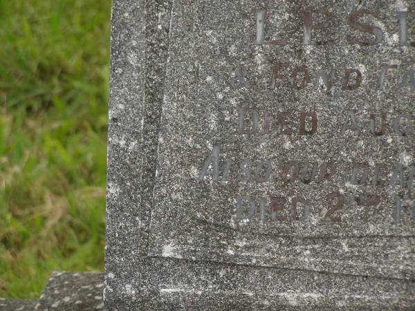 Leslie E. LUXFORD,  | husband,  | father of Enid & Leonard,  | died 8 Aug 1949 aged 58 years;  | Alice LUXFORD,  | mother,  | died 2 Feb 1969 aged 77 years;  | Murwillumbah Catholic Cemetery, New South Wales  | 