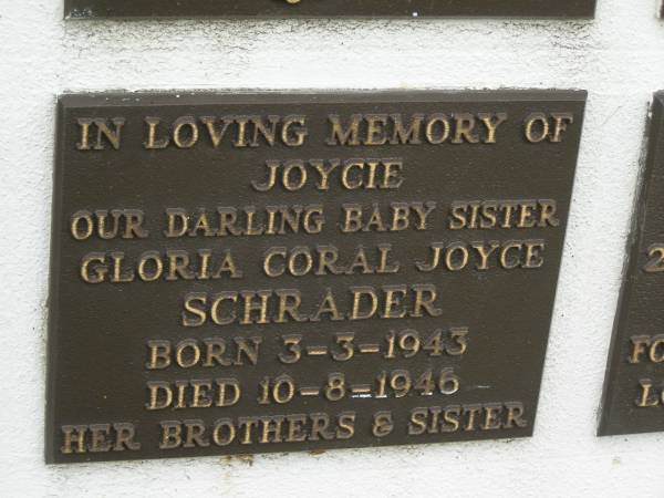 Glorice Coral Joyce (Joycie) SCHRADER,  | sister,  | born 3-3-1943,  | died 10-8-46,  | loved by brothers & sister;  | Murwillumbah Catholic Cemetery, New South Wales  | 