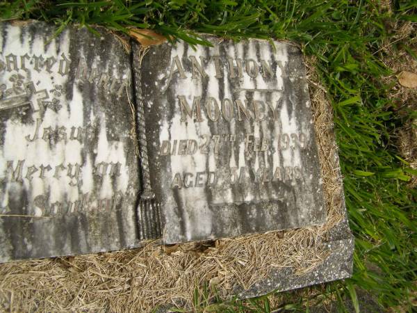 Anthony MOONEY,  | died 27 Feb 1939 aged 51 years;  | Murwillumbah Catholic Cemetery, New South Wales  | 