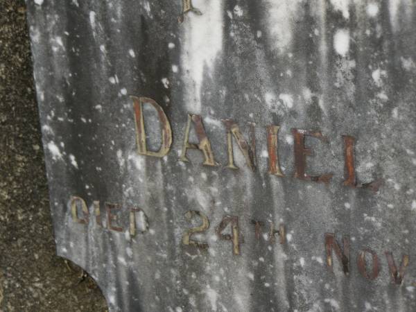 Daniel PENDERGAST,  | died 24 Nov 1933 aged 74 years;  | Murwillumbah Catholic Cemetery, New South Wales  | 
