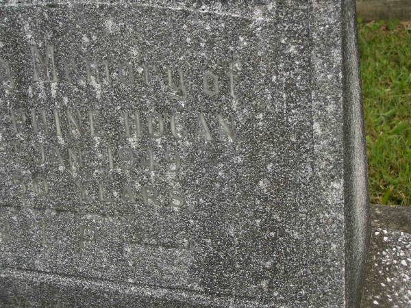 Mary Josephine (Mamie) HOGAN,  | died 1 Jan 1949 aged 50 years;  | Murwillumbah Catholic Cemetery, New South Wales  | 