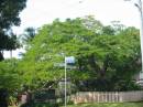 
Murwillumbah Catholic Cemetery, New South Wales
