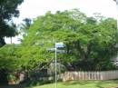 
Murwillumbah Catholic Cemetery, New South Wales
