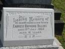 
Earnest Raymond HIGGINS,
husband father,
died 13 July 1964 aged 41 years;
Murwillumbah Catholic Cemetery, New South Wales
