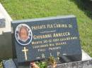 
Viovannie ANNECCA,
died 30-12-1993 aged 89 years;
Murwillumbah Catholic Cemetery, New South Wales

