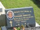 Viovannie ANNECCA,
died 30-12-1993 aged 89 years;
Murwillumbah Catholic Cemetery, New South Wales
