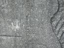 William Edward BYRNE,
died 14 Aug 1957 aged 85 years;
Murwillumbah Catholic Cemetery, New South Wales