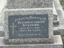 
Reginald Joseph STEVENS,
died 31-3-1981 aged 63 years;
Murwillumbah Catholic Cemetery, New South Wales
