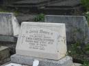 
Linda Fareed STEPHENS,
mother,
died 12 Dec 1970 aged 76 years;
Murwillumbah Catholic Cemetery, New South Wales
