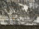 Helena MCDONALD,
mother,
died 7 Nov 1953 aged 64 years;
Murwillumbah Catholic Cemetery, New South Wales