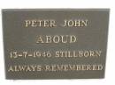 
Peter John ABOUD,
stillborn 13-7-1946;
Murwillumbah Catholic Cemetery, New South Wales
