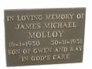 James Michael MOLLOY, 16-1-1950 - 30-11-1951, son of Gwen & Ray; Murwillumbah Catholic Cemetery, New South Wales 