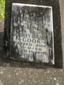 Rodney James COOK, son brother, died 6-9-56 aged 15 months; Murwillumbah Catholic Cemetery, New South Wales 