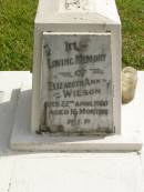 Elizabeth Ann WILSON, died 22 April 1950 aged 16 months; Murwillumbah Catholic Cemetery, New South Wales 