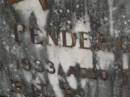 Daniel PENDERGAST,
died 24 Nov 1933 aged 74 years;
Murwillumbah Catholic Cemetery, New South Wales