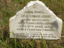 
Lyle Edward GRANT
son of John E and Louisa GRANT
d: 27 Apr 1898, aged 2 years 7 months
Nambucca Heads historic cemetery overlooking Shelly Beach

