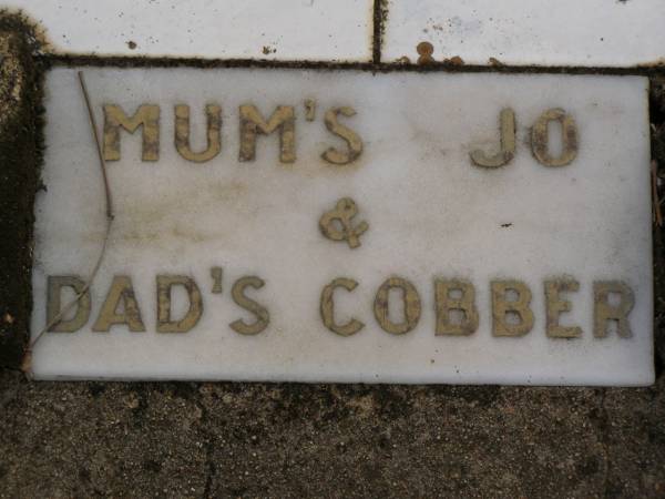 Joan (Jo),  | daughter of Kevin & Nancy LANGSDORF,  | accidentally killed 27 June 1951 aged 1 year 10 months;  | Nobby cemetery, Clifton Shire  | 