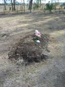 
Nobby cemetery, Clifton Shire
