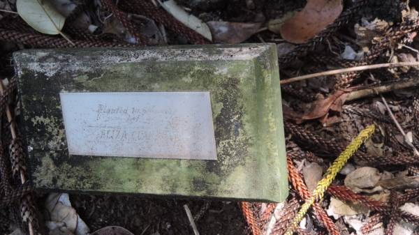 Eliza Clarkson  |   | Norfolk Island Memorial Park  |   | 