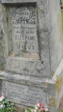 
Alfred A NOBBS
d: 26 Sep 1906, aged 59
pastor of Adventist Church 1893-1906

Norfolk Island Cemetery
