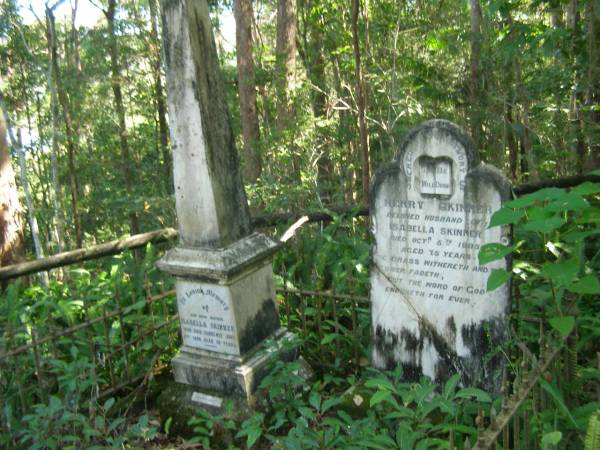 Henry SKINNER,  | husband of Isabella SKINNER,  | died 5 oct 1895 aged 75 years;  | Isabella SKINNER,  | mother,  | died suddenly 2 June 1908 aged 70 years;  | North Tumbulgum cemetery, New South Wales  | 