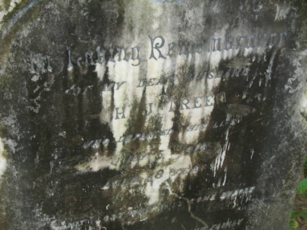 H.J. TREE,  | died 5 July 1913 aged 38 years,  | erected by wife;  | Elizabeth Ann,  | wife,  | aged 77 years;  | North Tumbulgum cemetery, New South Wales  | 