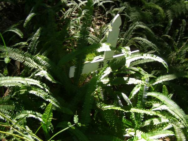 North Tumbulgum cemetery, New South Wales  | 