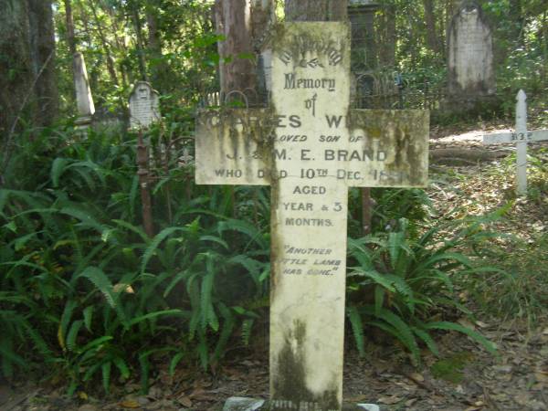 Charles William,  | son of J. & M.E. BRAND,  | died 10 Dec 1891 aged 1 year 3 months;  | North Tumbulgum cemetery, New South Wales  | 