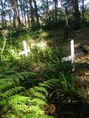 
North Tumbulgum cemetery, New South Wales
