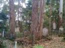 
North Tumbulgum cemetery
