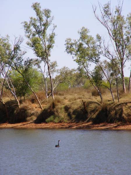 Ashburton River, Old Onslow, WA  | 