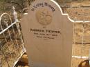 Andrew HEWISH (d: 12 Jun 1898 aged 44), Pioneer Cemetery, Oodnadatta, South Australia 
