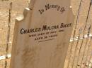 Charles Mulcra BAGOT (d: 22Jul 1895, aged 32), Pioneer Cemetery, Oodnadatta, South Australia 