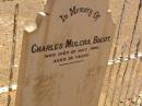 
Charles Mulcra BAGOT
(d: 22Jul 1895, aged 32),
Pioneer Cemetery, 
Oodnadatta,
South Australia
