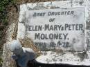 baby daughter of Helen-Mary & Peter MOLONEY, born 12-11-72; St James Catholic Cemetery, Palen Creek, Beaudesert Shire 