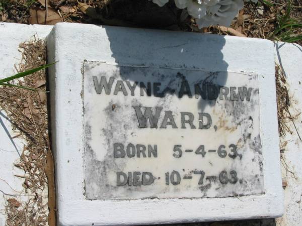 Wayne Andrew WARD,  | born 5-4-63 died 10-7-63;  | St James Catholic Cemetery, Palen Creek, Beaudesert Shire  | 