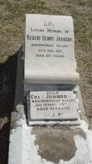 Robert Henry JOHNSON d: 22 Dec 1914 aged 27 1/2 years  Eric JOHNSON d: 26 Nov 1939 aged 21  Peak Downs Memorial Cemetery / Capella Cemetery 