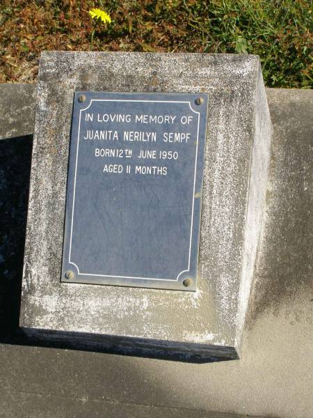 Juanita Nerilyn SEMPF,  | born 12 June 1950,  | aged 11 months;  | Pimpama Island cemetery, Gold Coast  | 