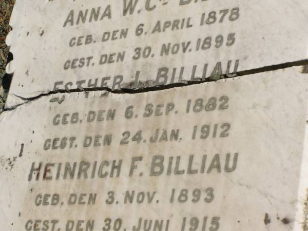 Anna W.Chr. BILLIAU,  | born 6 April 1878,  | died 30 Nov 1895;  | Esther L. BILLIAU,  | born 6 Sept 1882,  | died 24 Jan 1912;  | Heinrich F. BILLIAU,  | born 3 Nov 1893,  | died 30 June 1915;  | Wilhelm F.E. BILLIAU,  | born 17 Nov 1876,  | died 24 Oct 1917;  | Pimpama Island cemetery, Gold Coast  | 