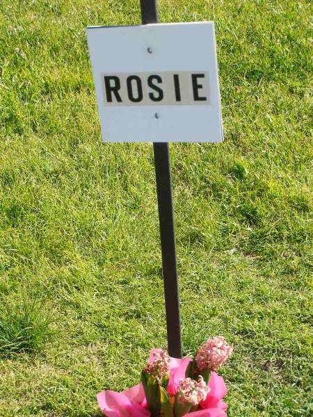 Rosie;  | Pimpama Island cemetery, Gold Coast  | 