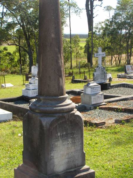 Willie,  | son of F. & E. COLLIN,  | born 6 March 1902,  | died 1 July 1905;  | Pimpama Island cemetery, Gold Coast  | 