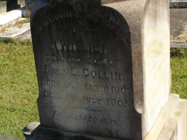 Willie,  | son of F. & E. COLLIN,  | born 6 March 1902,  | died 1 July 1905;  | Pimpama Island cemetery, Gold Coast  | 