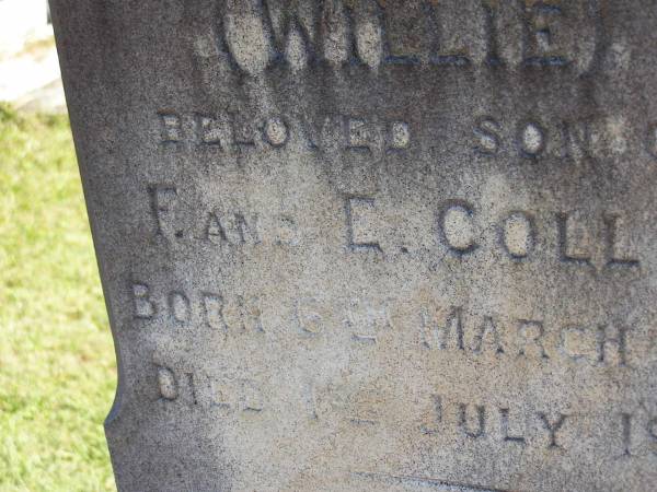 Willie,  | son of F. & E. COLLIN,  | born 6 March 1902,  | died 1 July 1905;  | Pimpama Island cemetery, Gold Coast  | 