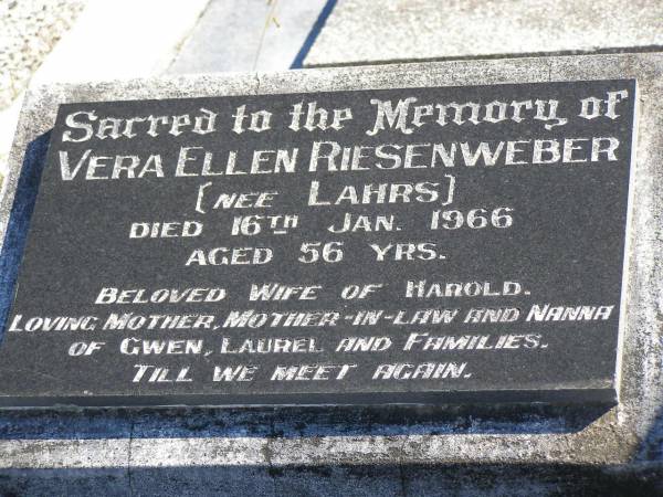 Vera Ellen RIESENWEBER (nee LAHRS),  | died 16 Jan 1966 aged 56 years,  | wife of Harold,  | mother mother-in-law nanna of Gwen, Laurel & families;  | Pimpama Island cemetery, Gold Coast  | 