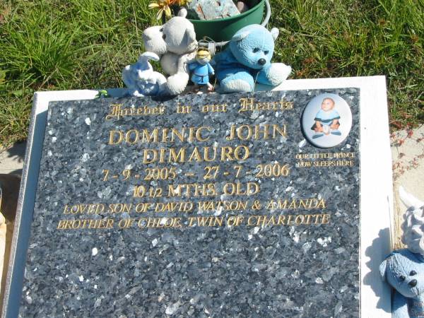 Dominic John DIMAURO,  | 7-9-2005 - 27-7-2006 aged 10 1/2 months,  | son of David Watson & Amanda,  | brother of Chloe,  | twin of Charlotte;  | Pimpama Island cemetery, Gold Coast  | 