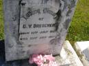 D.V. DRESCHER, born 13 July 1927, died 25 July 1927; Pimpama Island cemetery, Gold Coast 